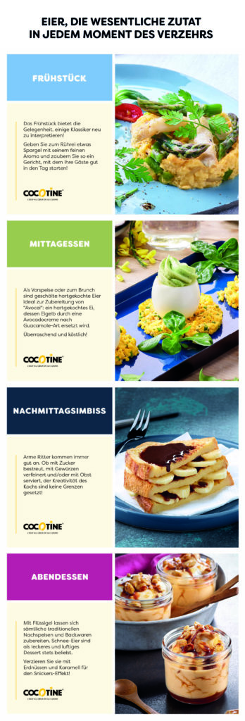 Foodservice: Eiprodukte für alle Verzehrmomente | Cocotine