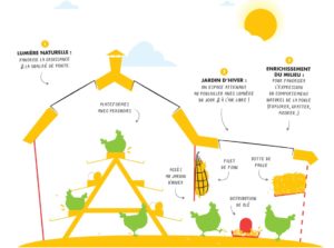 schéma poules au sol mieux être animal