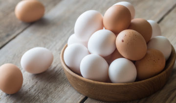 Extra-frische Eier und pasteurisierte Eier mit Qualitäts- und Sicherheitsgarantie.