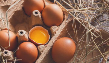 Organic eggs in France