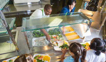 Institutional catering: developing protein-rich vegetarian menus