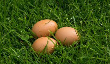 Soaring demand for alternative eggs.