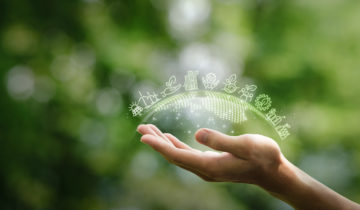 La montée en puissance des labels RSE : un impératif pour les distributeurs ?