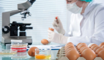 Lebensmittelsicherheit und -rückverfolgbarkeit in der Gemeinschaftsverpflegung